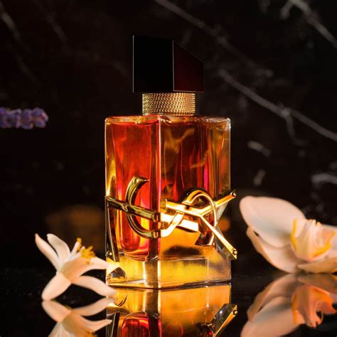 libre le parfum fragrantica